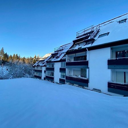 Ferienwohnung Waldgaenger Hahnenklee جوسلار المظهر الخارجي الصورة