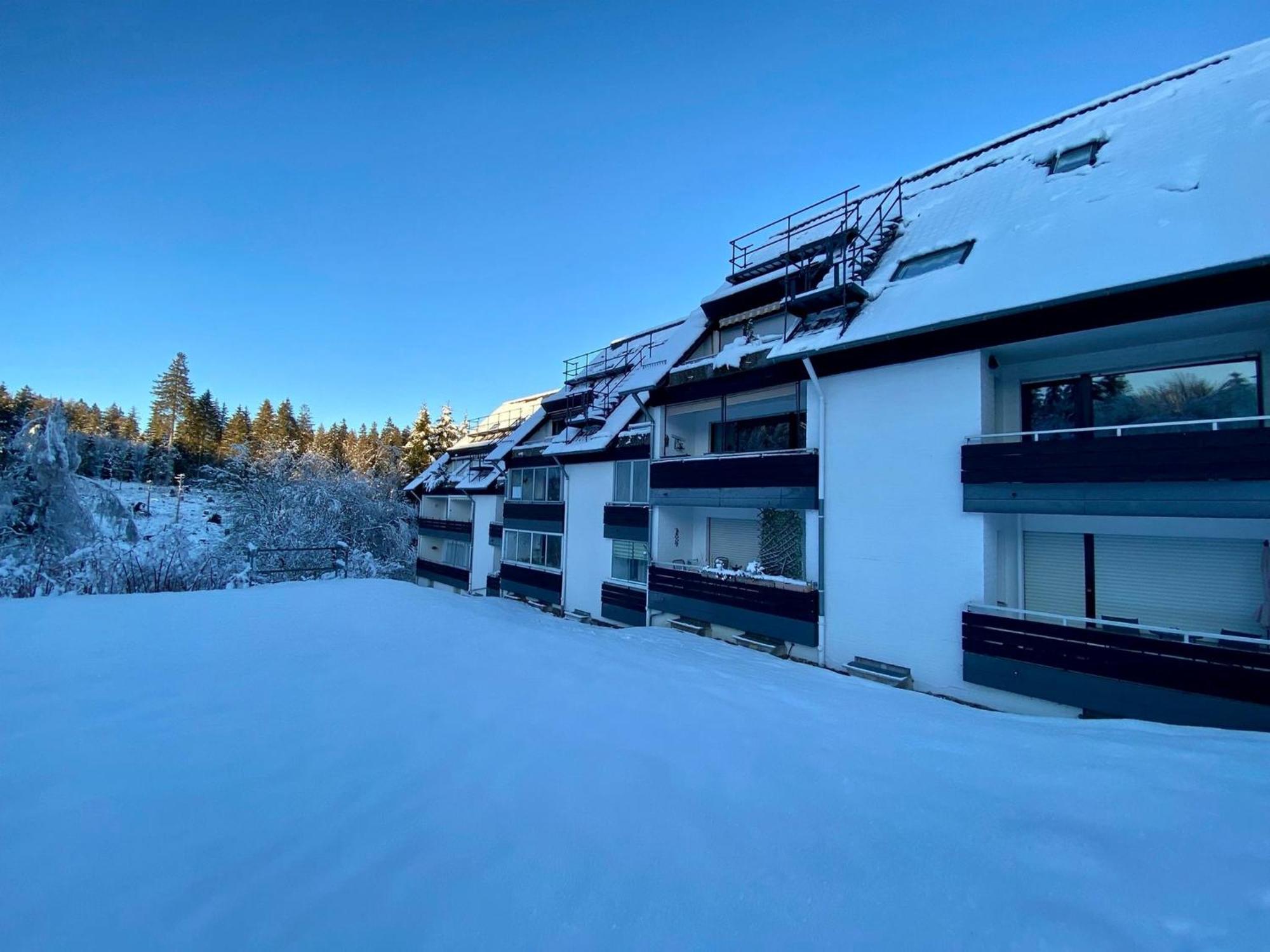 Ferienwohnung Waldgaenger Hahnenklee جوسلار المظهر الخارجي الصورة