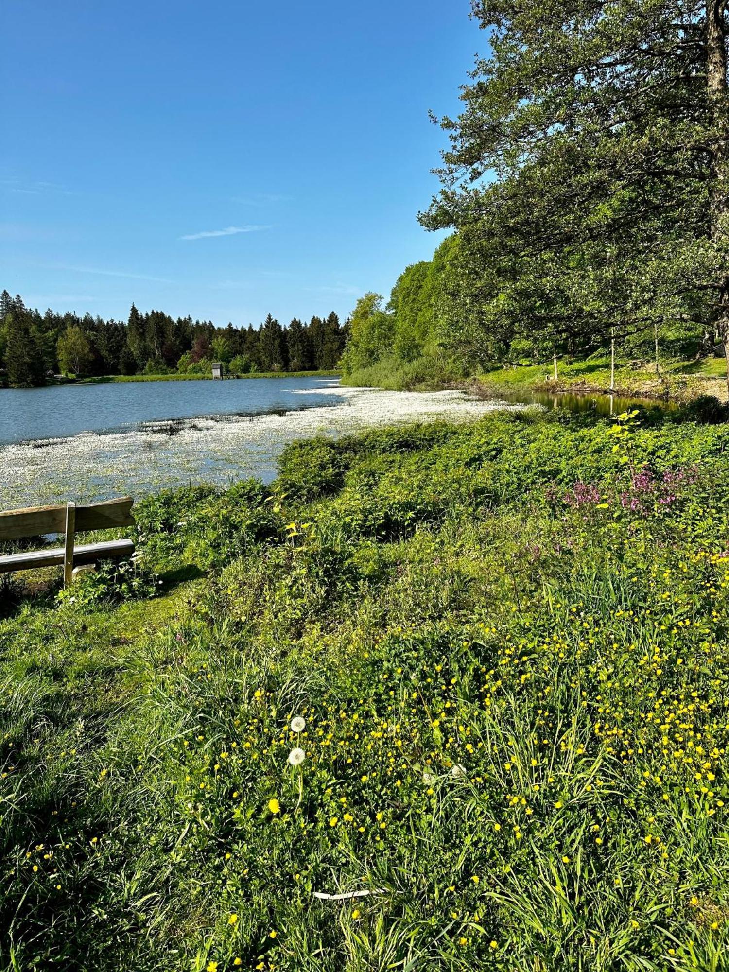 Ferienwohnung Waldgaenger Hahnenklee جوسلار المظهر الخارجي الصورة