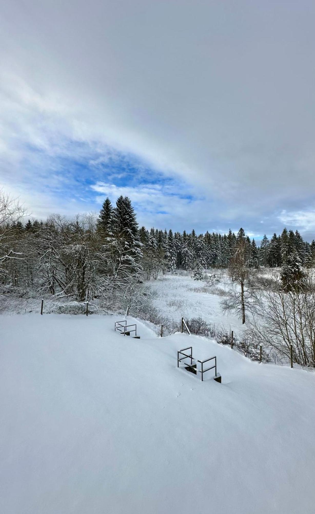 Ferienwohnung Waldgaenger Hahnenklee جوسلار المظهر الخارجي الصورة