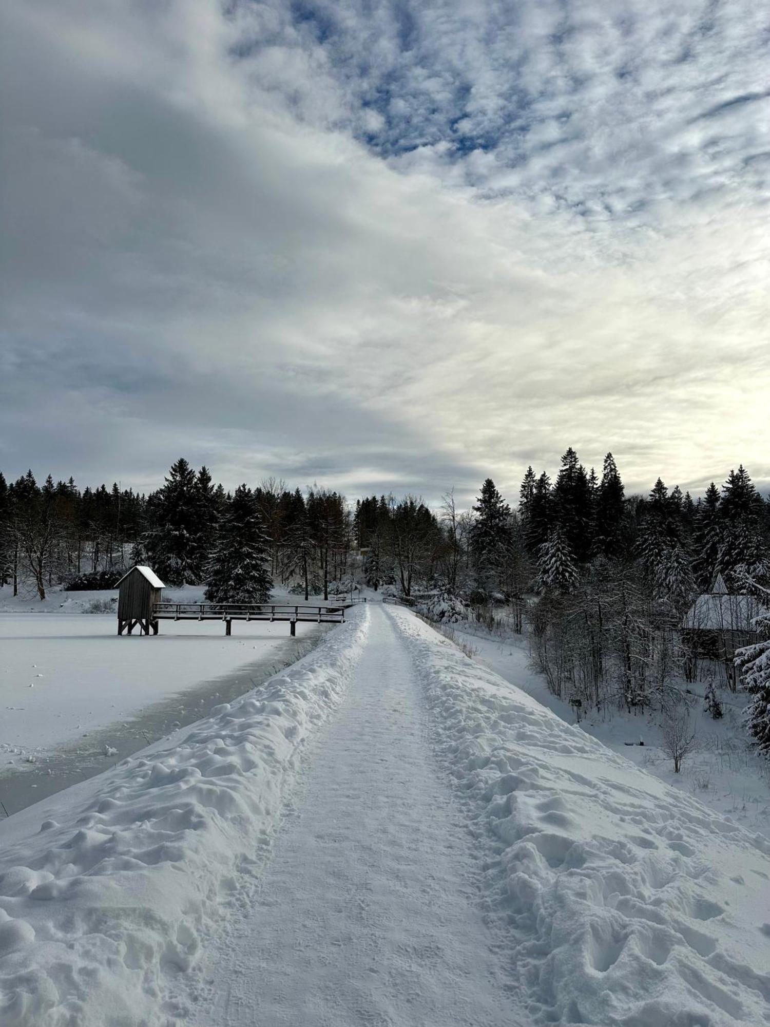 Ferienwohnung Waldgaenger Hahnenklee جوسلار المظهر الخارجي الصورة
