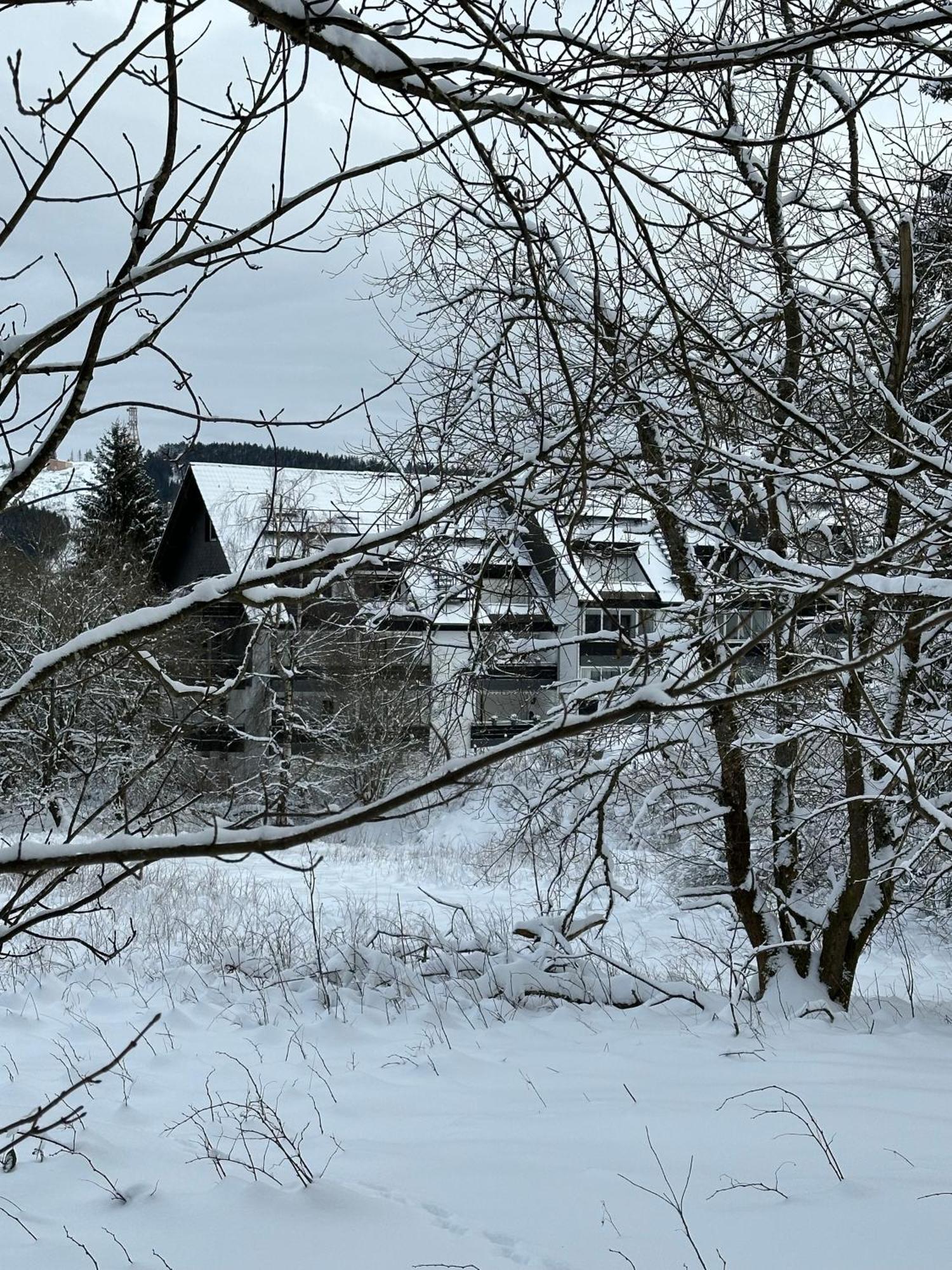 Ferienwohnung Waldgaenger Hahnenklee جوسلار المظهر الخارجي الصورة